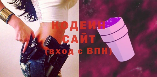 эйфоретик Няндома