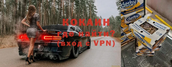 прущие грибы Аркадак