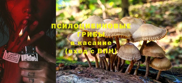 Альфа ПВП Протвино