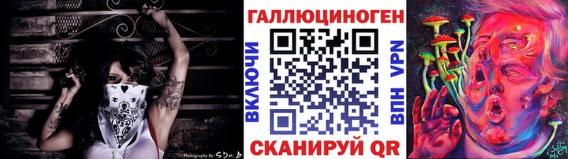 купить наркотики цена  Подпорожье  Псилоцибиновые грибы Cubensis 